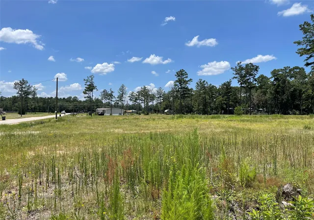 Photo 3 of Land for sale at 20035 Kincaid Dr, Conroe, TX 77306 | MLS# 34749727 | Listing updated on 2026-08-24