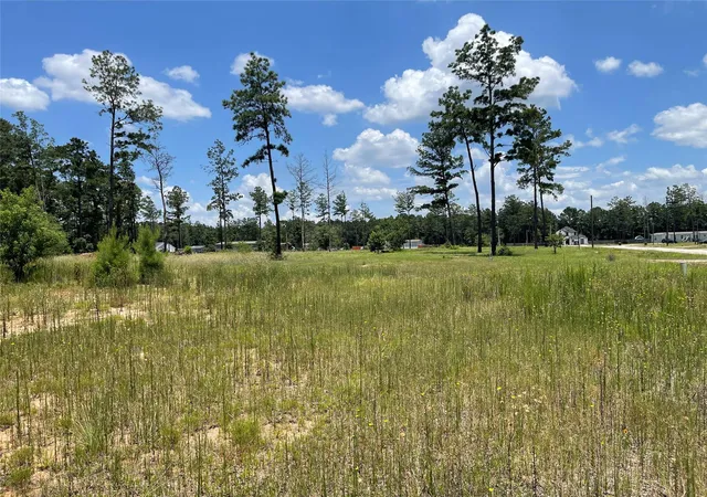 Photo 4 of Land for sale at 20035 Kincaid Dr, Conroe, TX 77306 | MLS# 34749727 | Listing updated on 2026-08-24