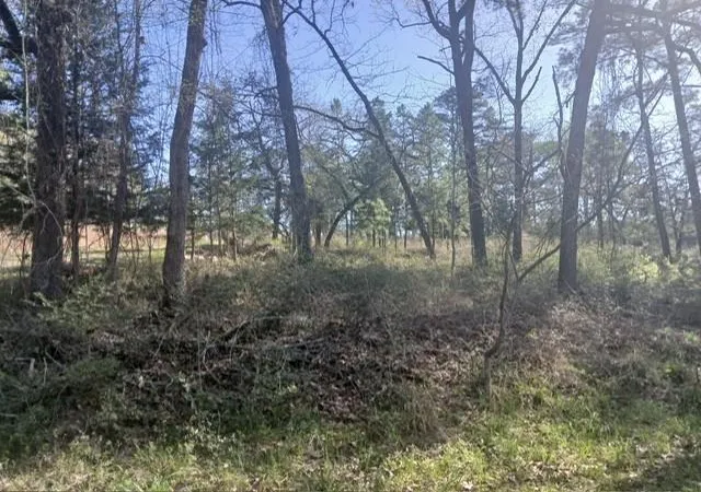 Homes for sale in Trinity, TX | 201 Chinquapin Rd, Trinity, TX 75862 | MLS# 35647795