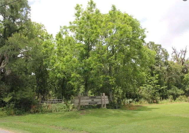 1st image of Tbd Cr 825e, West Columbia, TX 77486 | MLS# 43211617