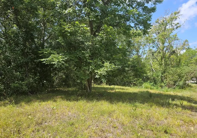 3rd image of Tbd Cr-825E, West Columbia, TX 77486 | MLS# 43211617