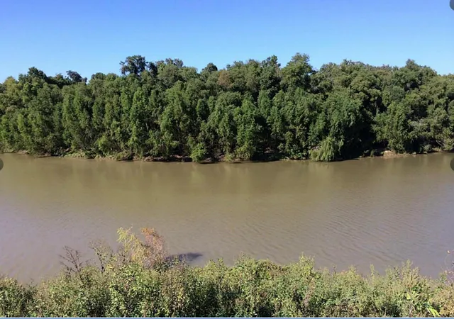4th image of Tbd Cr-825E, West Columbia, TX 77486 | MLS# 43211617