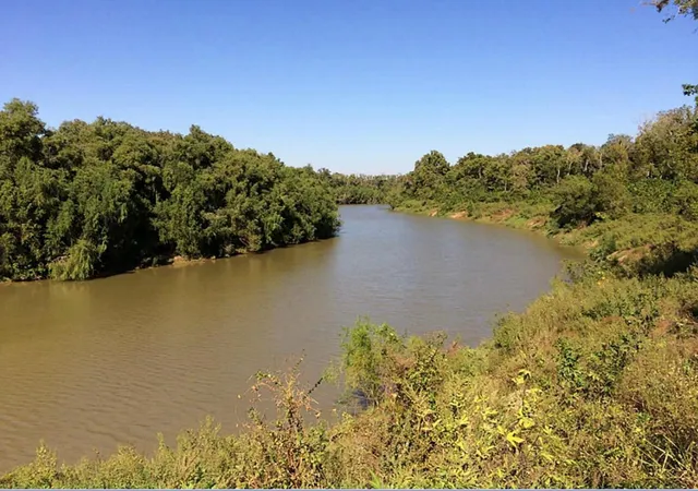5th image of Tbd Cr-825E, West Columbia, TX 77486 | MLS# 43211617