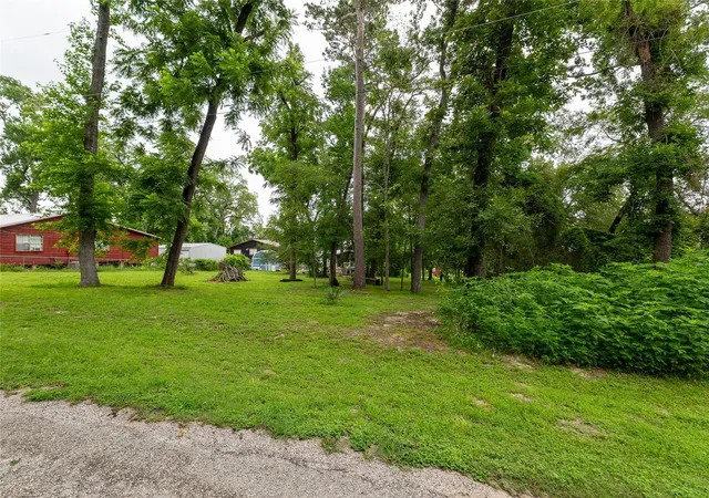 Homes for sale in Point Blank, TX | 0000 Walnut Ln, Point Blank, TX 77364 | MLS# 5781188