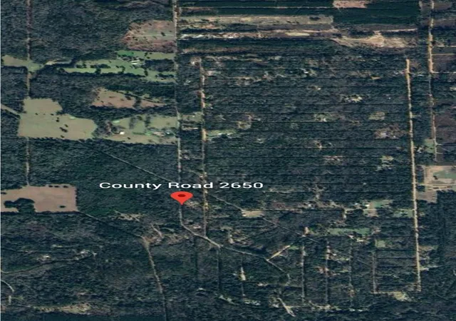 Photo 3 of Land for sale at 0000 County Rd 2650, Cleveland, TX 77327 | MLS# 12123098 | Listing updated on 2026-05-15
