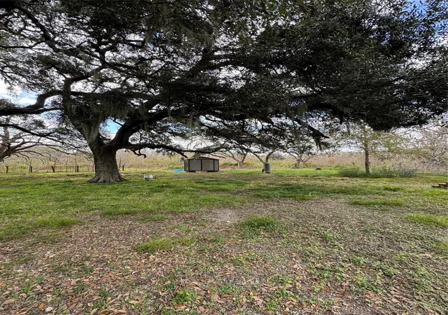 16th image of 2941 County Road 352, Brazoria, TX 77422 | MLS# 71681488