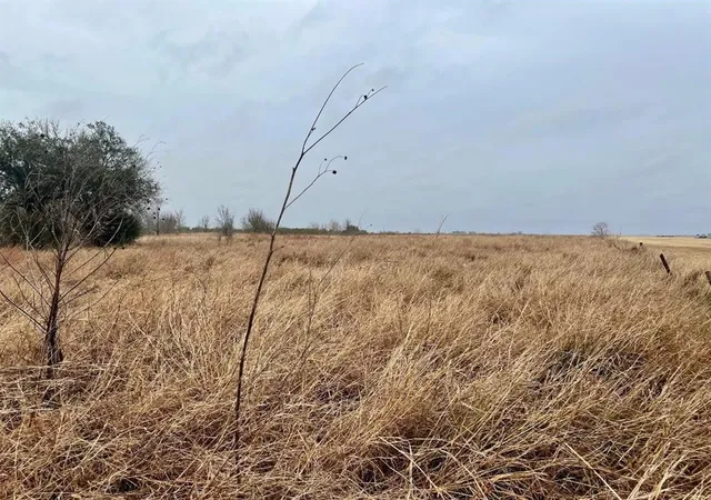 Photo 3 of Land for sale at 08 County Rd 319, Edna, TX 77957 | MLS# 15777608 | Listing updated on 2026-08-11