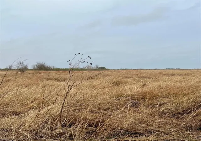 4th image of 08 County Road 319, Edna, TX 77957 | MLS# 15777608