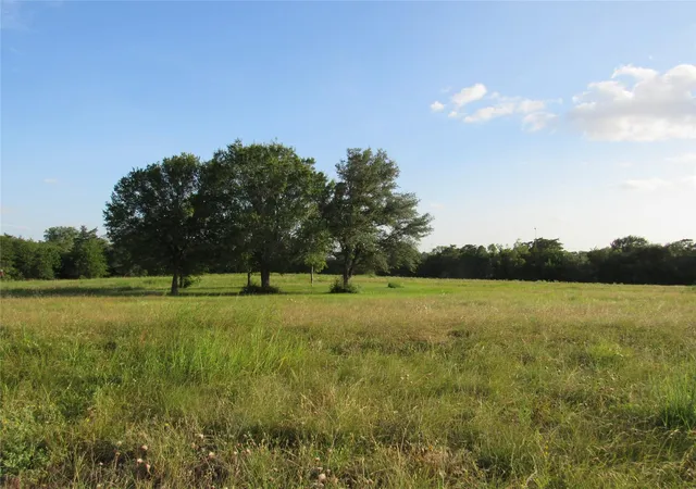 31st image of 7515 Shelby Road, Brenham, TX 77833 | MLS# 72092367