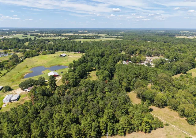 32nd image of 188 State Hwy 150, New Waverly, TX 77358 | MLS# 3615974