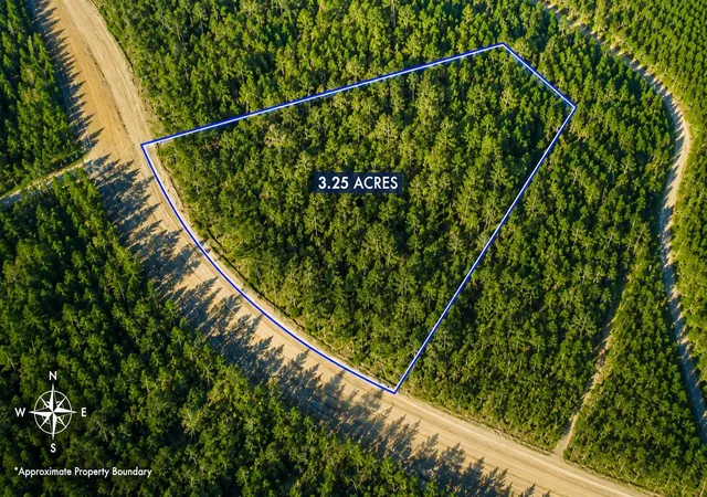 Photo 3 of Land for sale at 15590 Woodlife Rd, Willis, TX 77378 | MLS# 95171638 | Listing updated on 2026-08-30