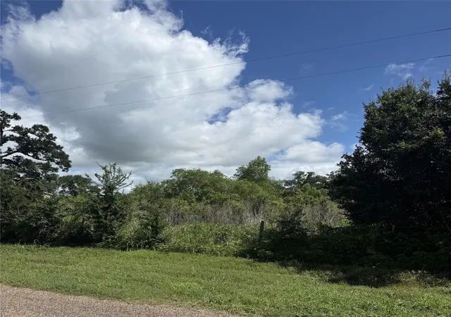 2nd image of 0 Cr 220, Hungerford, TX 77448 | MLS# 10972050
