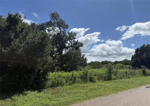 3rd image of 0 Cr 220, Hungerford, TX 77448 | MLS# 10972050