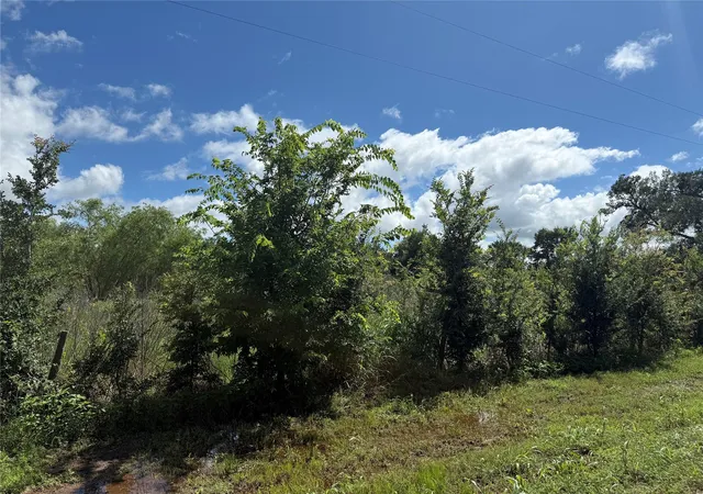 4th image of 0 Cr 220, Hungerford, TX 77448 | MLS# 10972050
