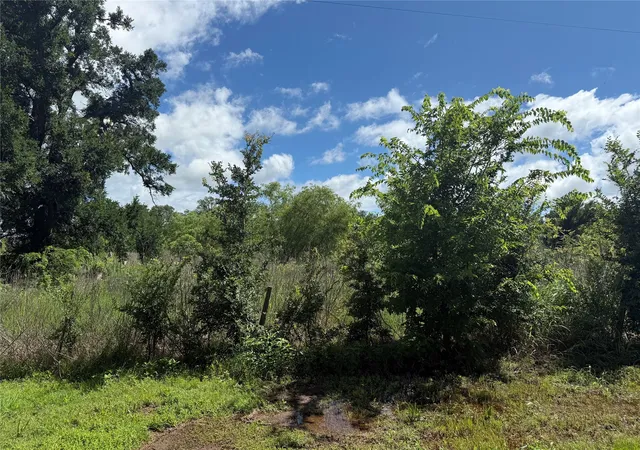 5th image of 0 Cr 220, Hungerford, TX 77448 | MLS# 10972050
