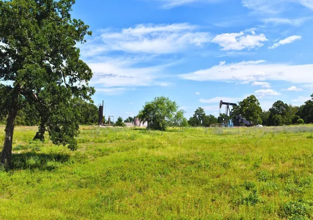 Photo 4 of Land for sale at (tract 2) Green Hl Rd 10 Acres, Caldwell, TX 77836 | MLS# 61565259 | Listing updated on 2026-05-14