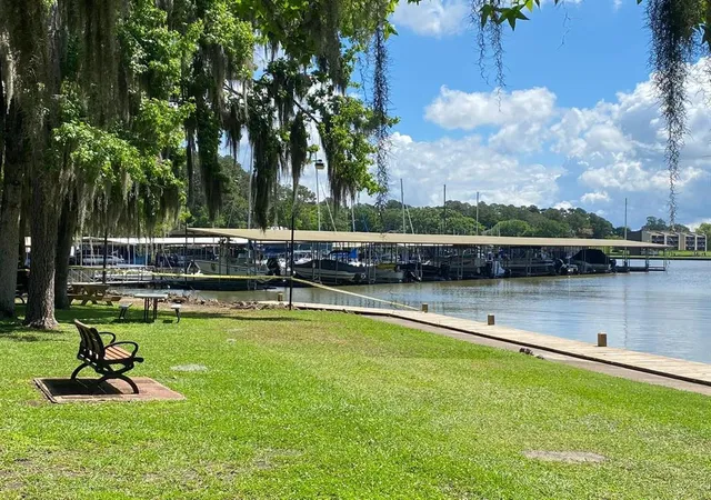 Photo 3 of Land for sale at 24 S Pine Harbour Dr, Coldspring, TX 77331 | MLS# 85472331 | Listing updated on 2026-10-07