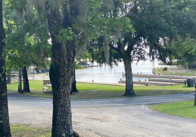 Photo 3 of Land for sale at 24 S Pine Harbour Dr, Coldspring, TX 77331 | MLS# 85472331 | Listing updated on 2026-10-07