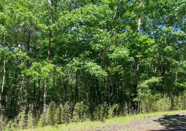 Photo 4 of Land for sale at 24 S Pine Harbour Dr, Coldspring, TX 77331 | MLS# 85472331 | Listing updated on 2026-10-07