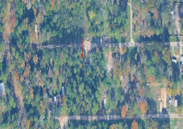Photo 2 of Land for sale at 108 Peach Crk Dr, New Caney, TX 77357 | MLS# 77436013 | Listing updated on 2026-07-29