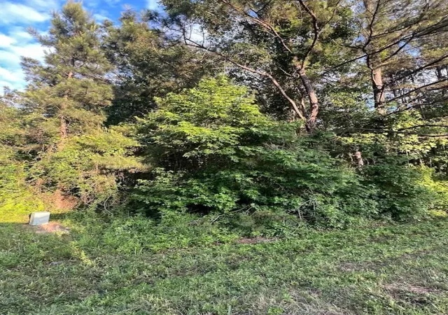 Photo 4 of Land for sale at 108 Peach Crk Dr, New Caney, TX 77357 | MLS# 77436013 | Listing updated on 2026-07-29