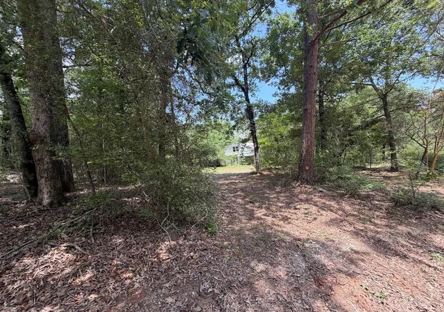 Photo 4 of Land for sale at 161 Austin Rd, Trinity, TX 75862 | MLS# 51557170 | Listing updated on 2026-06-03