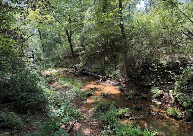 Photo 2 of Land for sale at 209 Fcr 261, Oakwood, TX 75855 | MLS# 60455250 | Listing updated on 2026-07-22