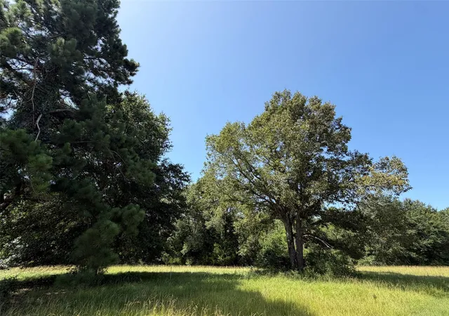 Photo 35 of Land for sale at 209 Fcr 261, Oakwood, TX 75855 | MLS# 60455250 | Listing updated on 2026-07-22