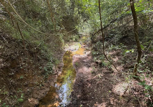 Photo 3 of Land for sale at 209 Fcr 261, Oakwood, TX 75855 | MLS# 60455250 | Listing updated on 2026-07-22