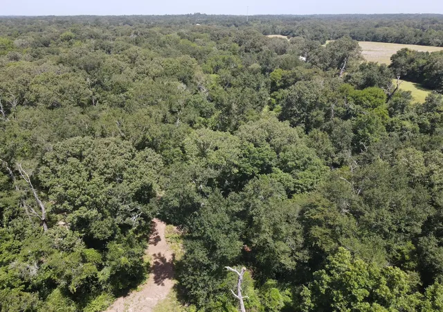 Photo 4 of Land for sale at 209 Fcr 261, Oakwood, TX 75855 | MLS# 60455250 | Listing updated on 2026-07-22