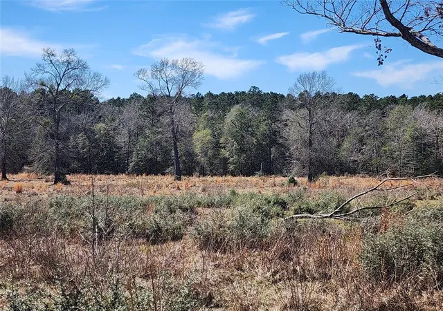 Photo 1 of Land for sale at 0000 W Us Hwy 190, Livingston, TX 77351 | MLS# 74654151 | Listing updated on 2026-08-24