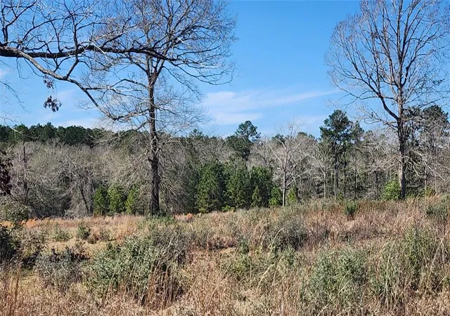 Photo 2 of Land for sale at 0000 W Us Hwy 190, Livingston, TX 77351 | MLS# 74654151 | Listing updated on 2026-08-24