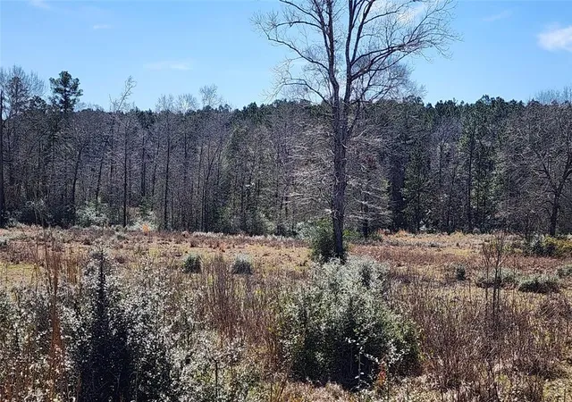 Photo 3 of Land for sale at 0000 W US Hwy 190, Livingston, TX 77351 | MLS# 74654151 | Listing updated on 2026-08-24