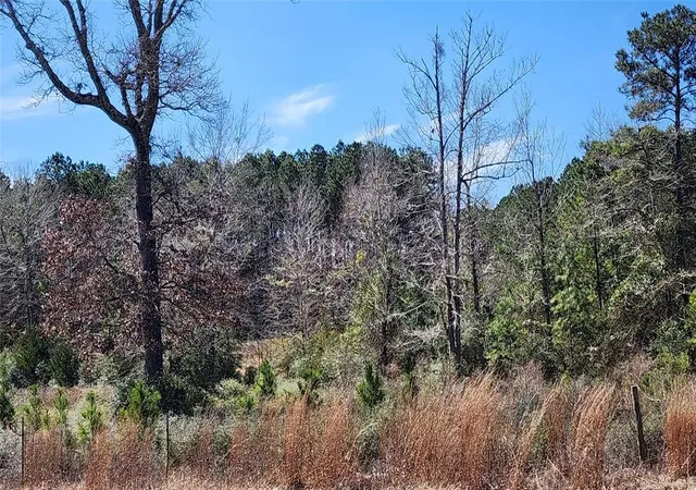 Photo 4 of Land for sale at 0000 W US Hwy 190, Livingston, TX 77351 | MLS# 74654151 | Listing updated on 2026-08-24