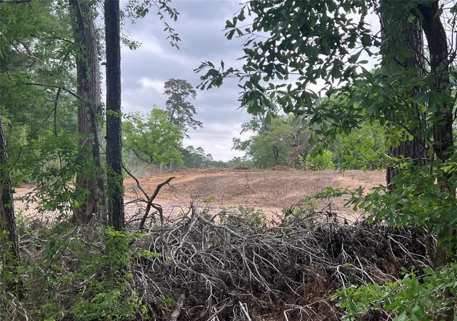 1st image of 48 Robert E Lee Dr, Conroe, TX 77302 | MLS# 68127223