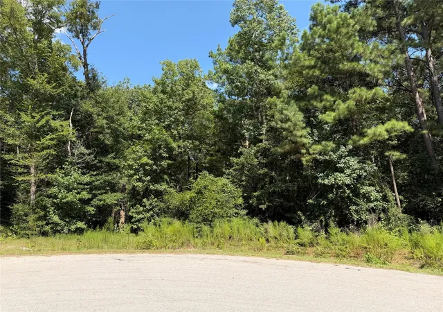 1st image of 97 22 19 Granite Rd, Huntsville, TX 77340 | MLS# 20420513