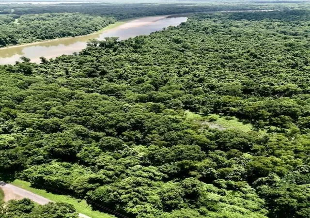 Photo 3 of Land for sale at 00000 County Rd 2166, Cleveland, TX 77327 | MLS# 30959586 | Listing updated on 2026-03-26