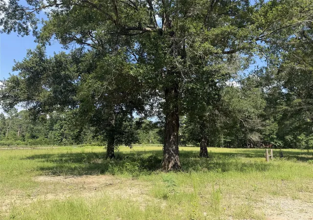 Homes for sale in Midway, TX | 2239 Fm 247, Midway, TX 75852 | MLS# 12002569