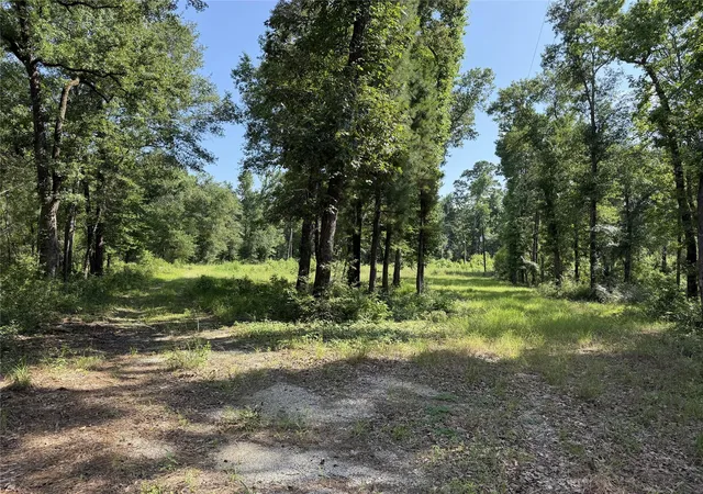 Homes for sale in Midway, TX | 2239 Fm 247, Midway, TX 75852 | MLS# 12002569
