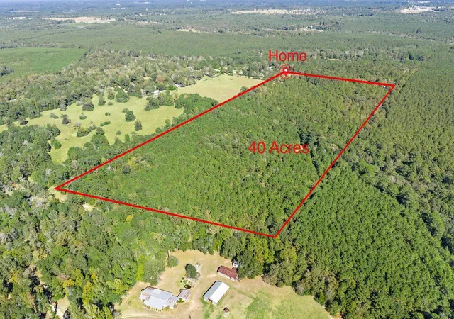Homes for sale in Woodville, TX | 610 Private Road 5130, Woodville, TX 75979 | MLS# 22108798