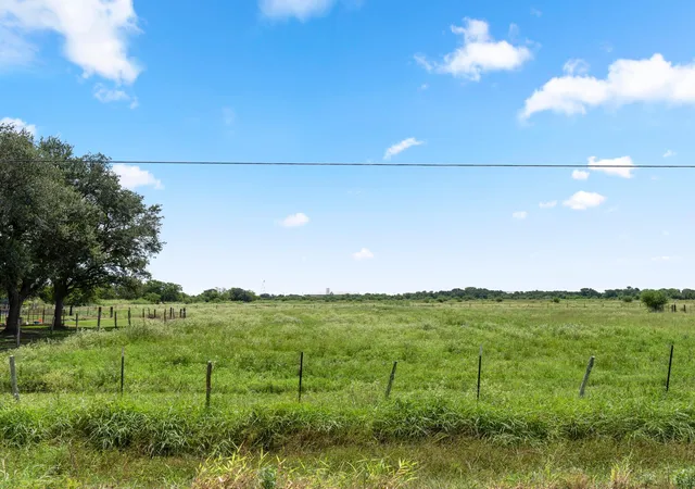46th image of 9919 Bohacek Rd, Beasley, TX 77417 | MLS# 69874198
