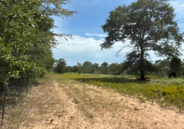 3rd image of 10Ac I-45 S, Centerville, TX 75833 | MLS# 45203482