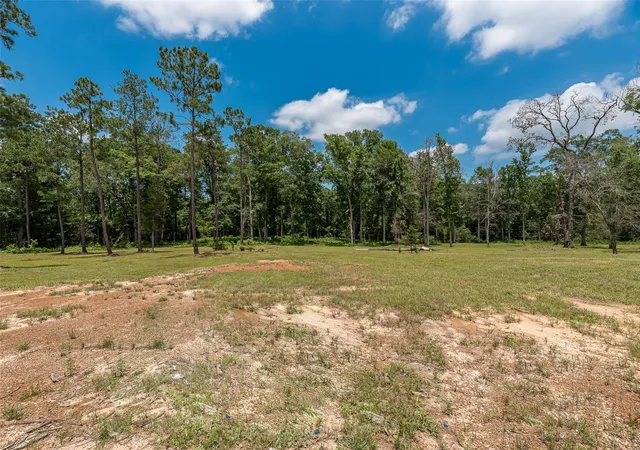 3rd image of 3130 Pine Rd, Cleveland, TX 77328 | MLS# 19673431