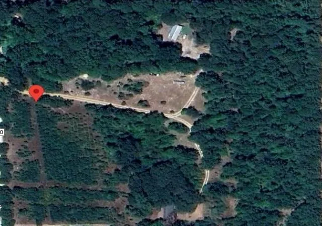 2nd image of 4220 County Road 1640, Grapeland, TX 75844 | MLS# 46165239