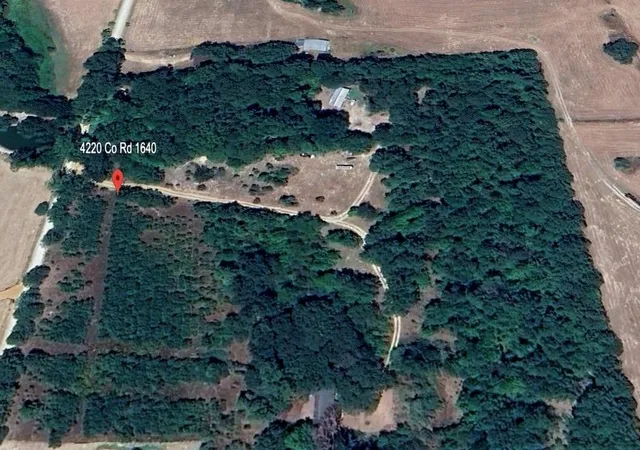 4th image of 4220 County Road 1640, Grapeland, TX 75844 | MLS# 46165239