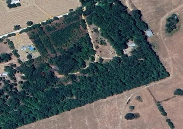 7th image of 4220 County Road 1640, Grapeland, TX 75844 | MLS# 46165239