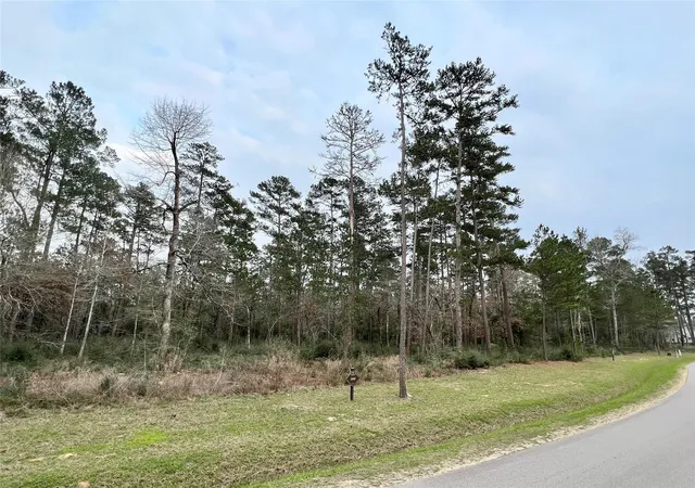 Photo 1 of Land for sale at Tbd6 Lily Bean Rd, Montgomery, TX 77316 | MLS# 45818848 | Listing updated on 2026-09-03