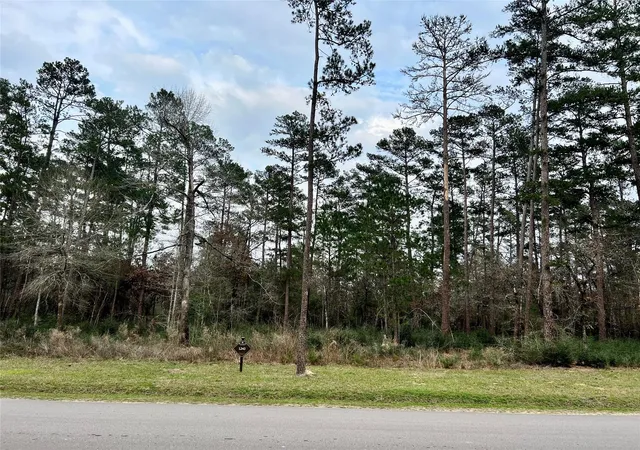 Photo 2 of Land for sale at Tbd6 Lily Bean Rd, Montgomery, TX 77316 | MLS# 45818848 | Listing updated on 2026-09-03