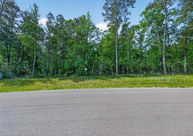 Homes for sale in New Waverly, TX | 181 S Sandpiper Dr, New Waverly, TX 77358 | MLS# 86819555