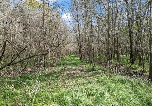 Photo 3 of Land for sale at Tbd County Rd 2601, Cleveland, TX 77327 | MLS# 2124939 | Listing updated on 2026-08-01